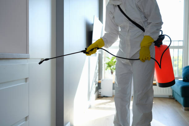 Best Attic Mold Removal  in Grand Ledge, MI